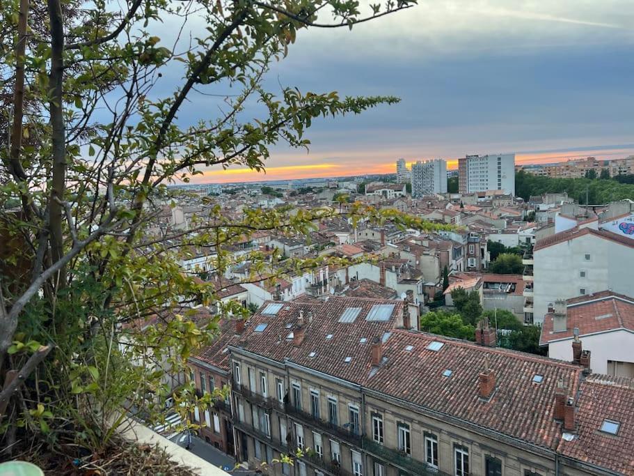 Rooftop Chaleureux Hyper-Centre Daire Toulouse Dış mekan fotoğraf